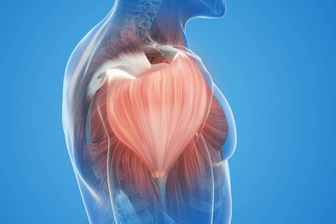 How To Speed Up Muscle Strain Recovery