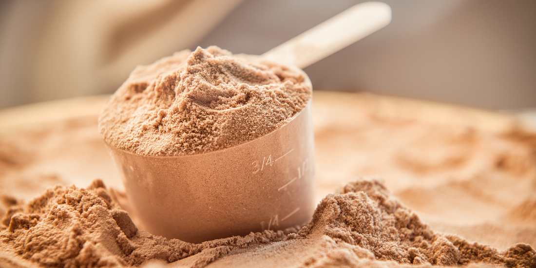 Protein Powder for Bariatric Patients: What to Look For