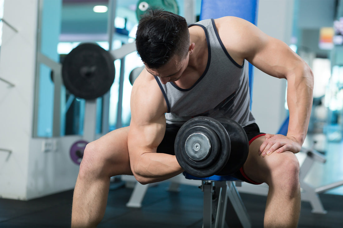 6 Tips for Getting Bigger Arms at Home