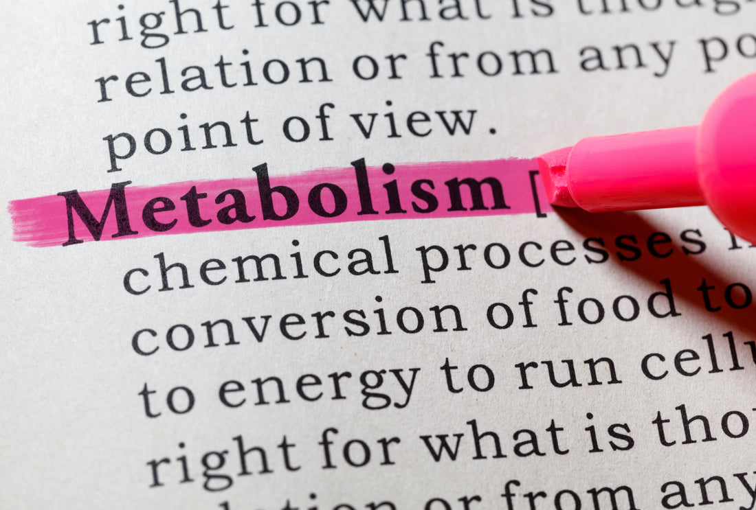 Understanding Aerobic vs. Anaerobic Metabolism