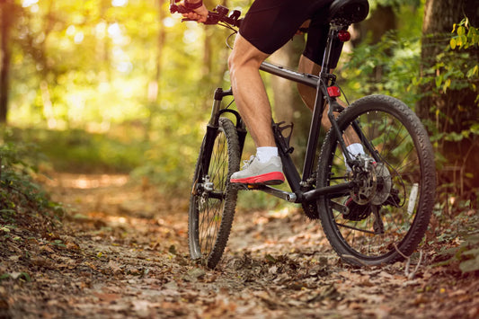 How Many Calories Does Biking Burn?