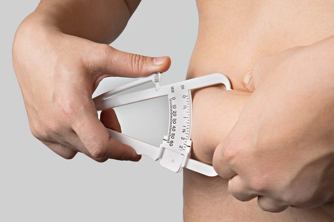 What Is Body Composition: The Complete Guide