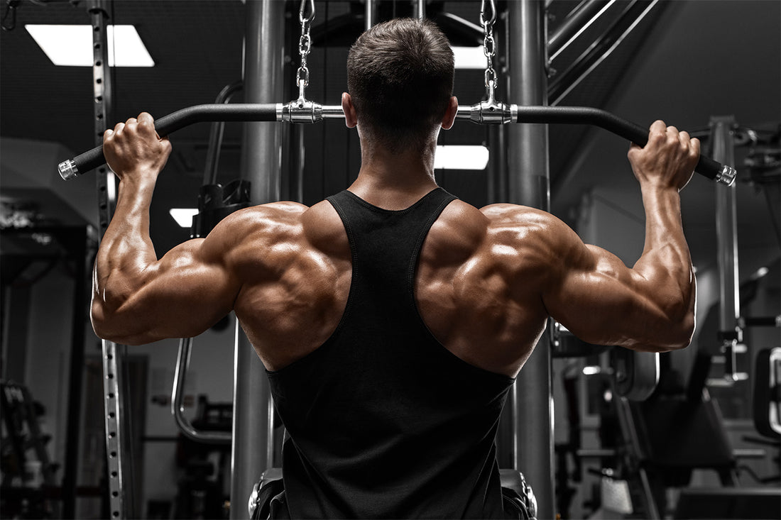 Shoulder and Back Workouts You Should Include in Your Routine